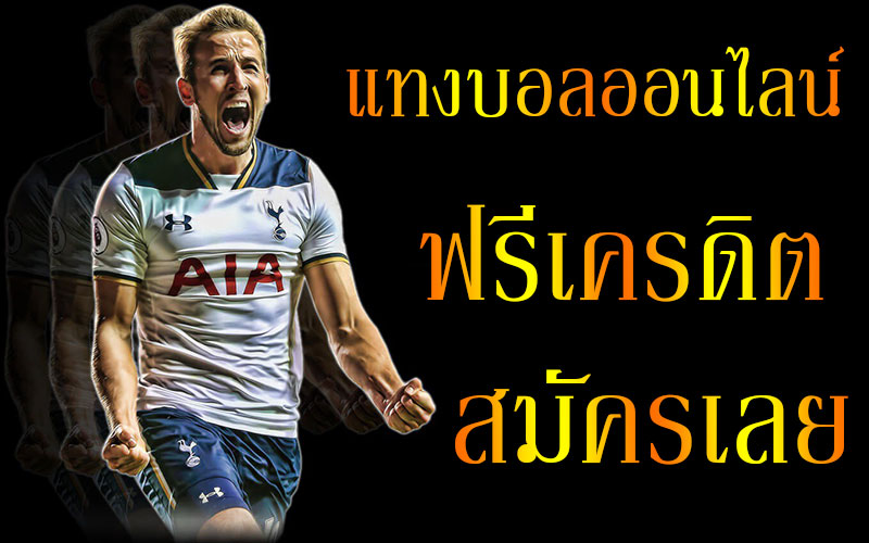 เว็บแทงบอล ได้เงินจริง